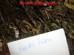 Gedroogde Broko baka wiri