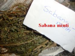 Sabana minti wiri