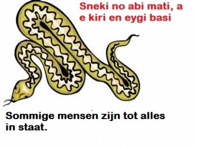 Sneki *Spreuk 334*