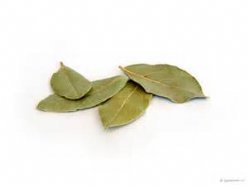 Laurierblad gedroogd