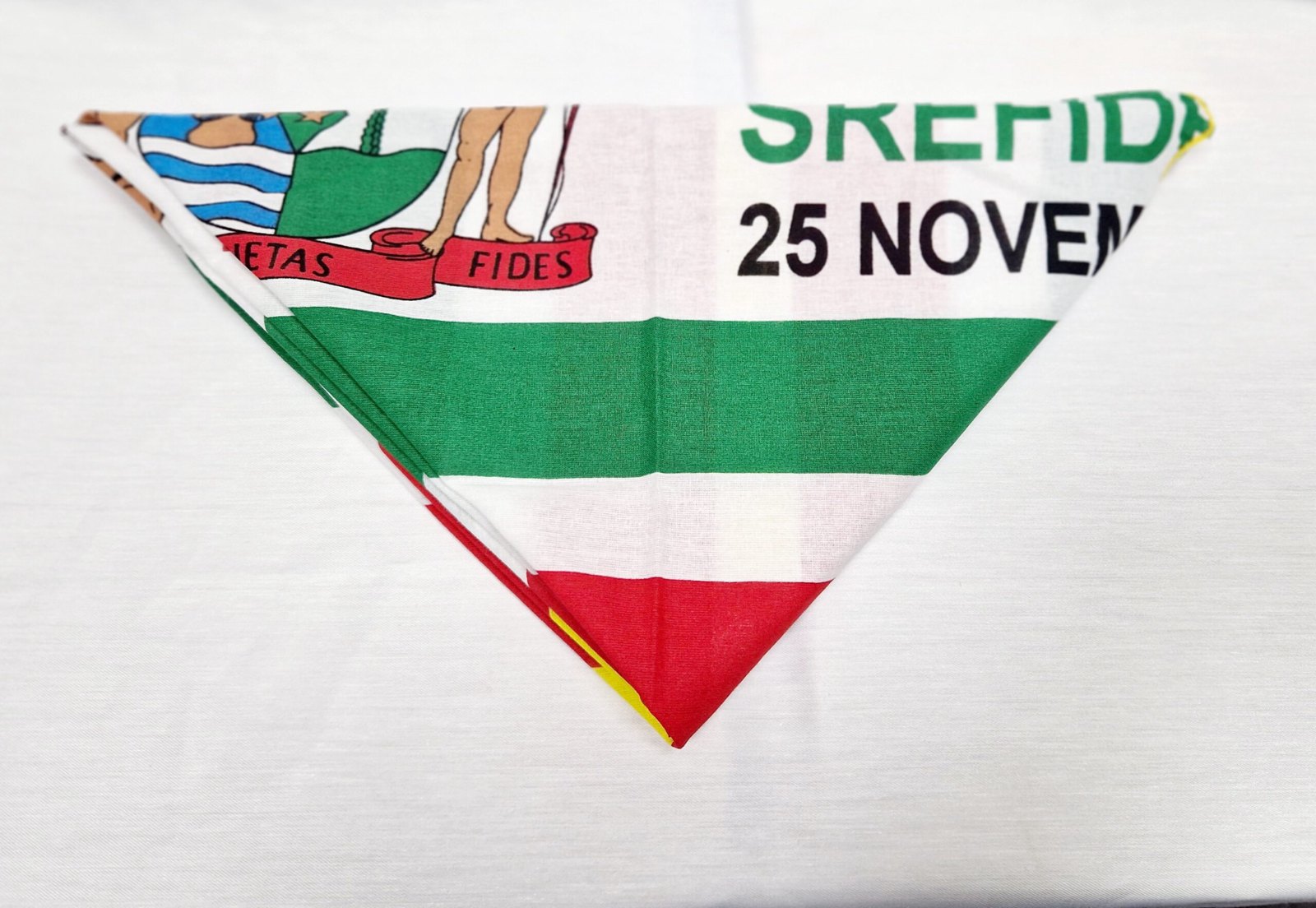 Srefidentie hoofddoek ( 25 november 1975), foto 2