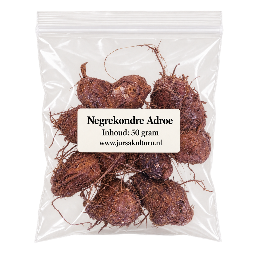 Gedroogde Negrekondre Adroe