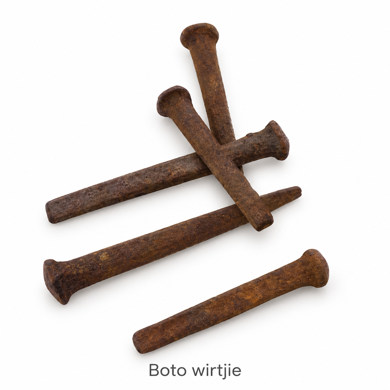Boto wirtjie