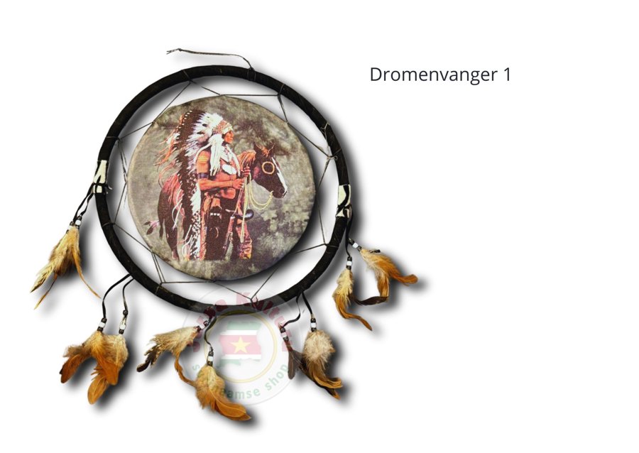 Dromenvanger #1