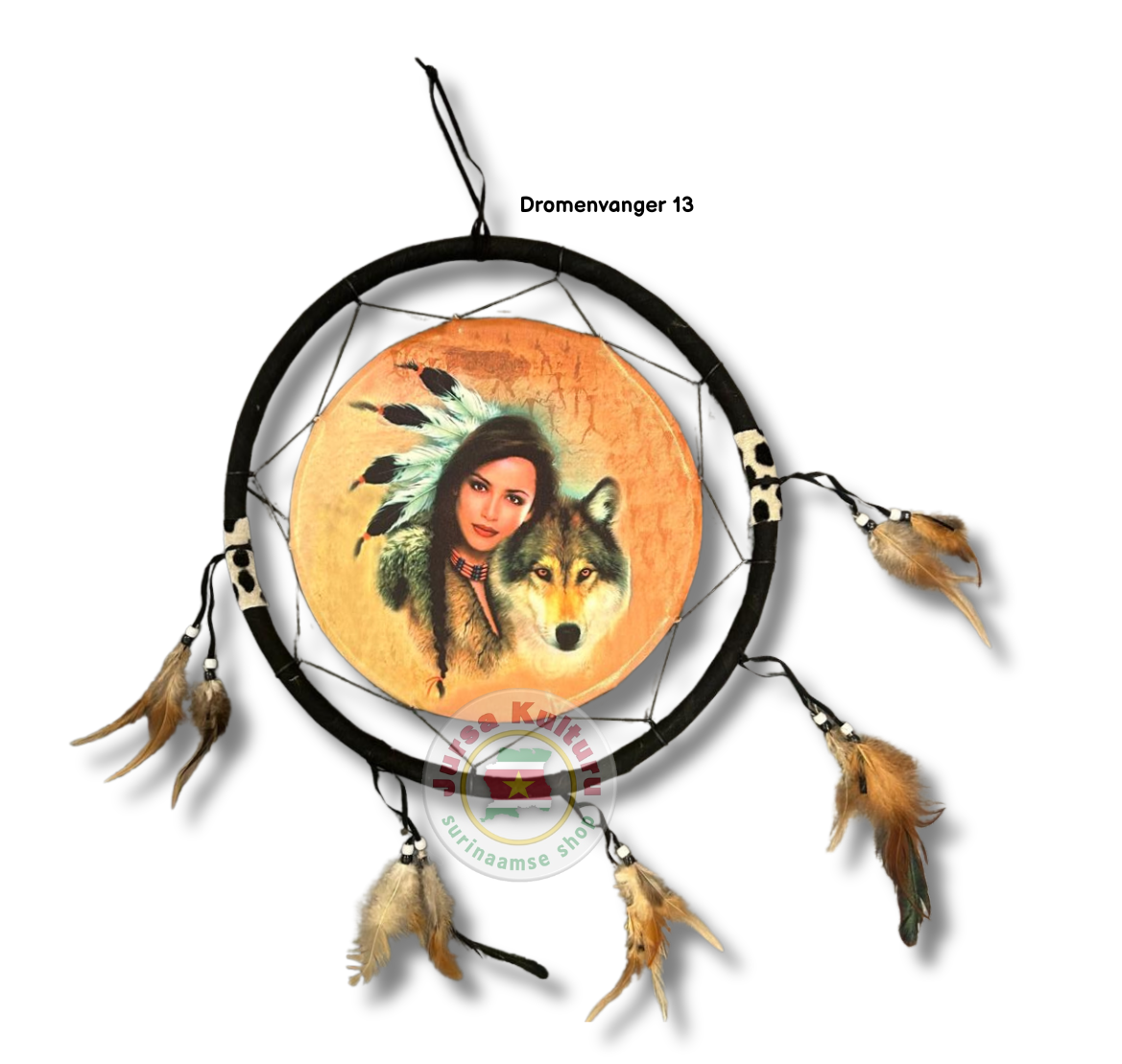 Dromenvanger #13