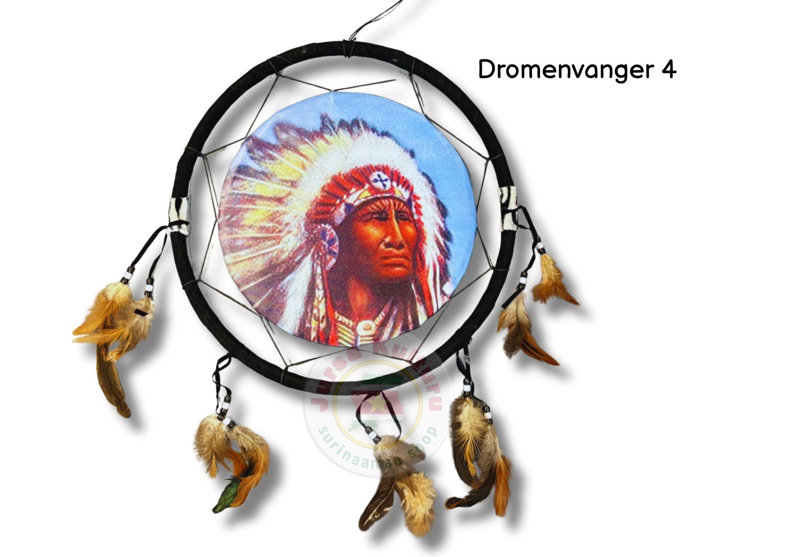 Dromenvanger #4