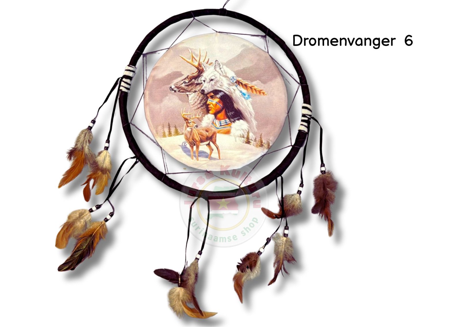 Dromenvanger #6