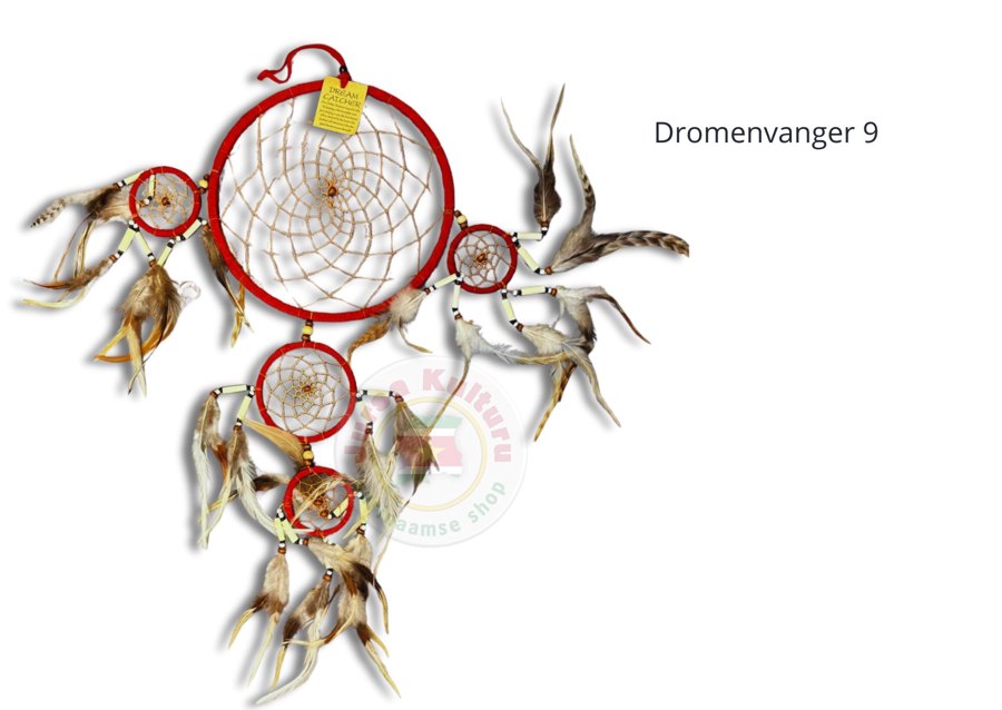 Dromenvanger #9