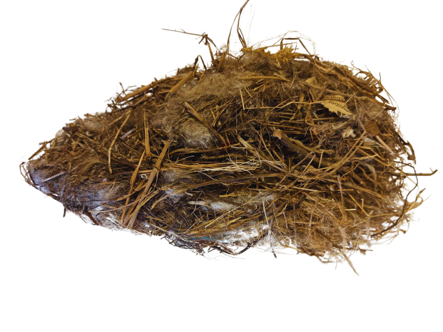 Fowru nesie ( vogel nest)