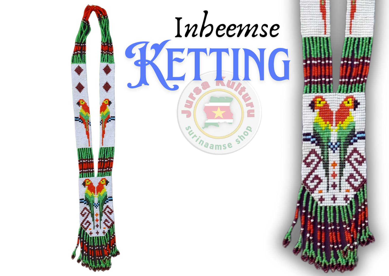 Inheemse Ketting Papegaai #3