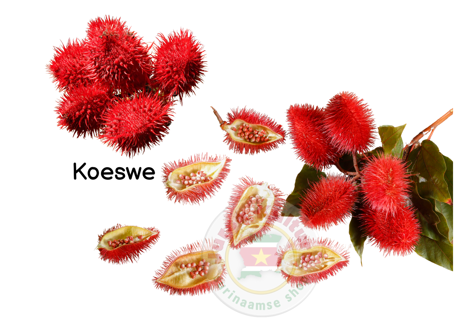 Koeswe