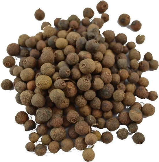 Lontai