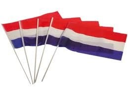 Nederlandse vlag met steel