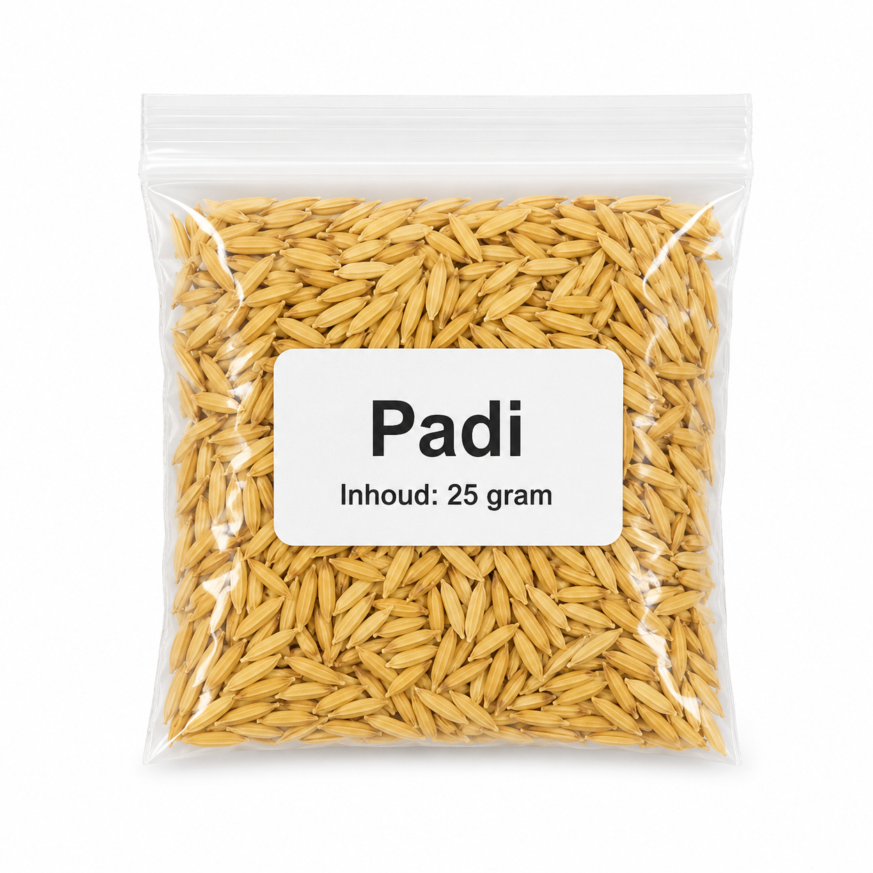 Padi