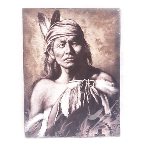 Schilderij ingi (indiaan)