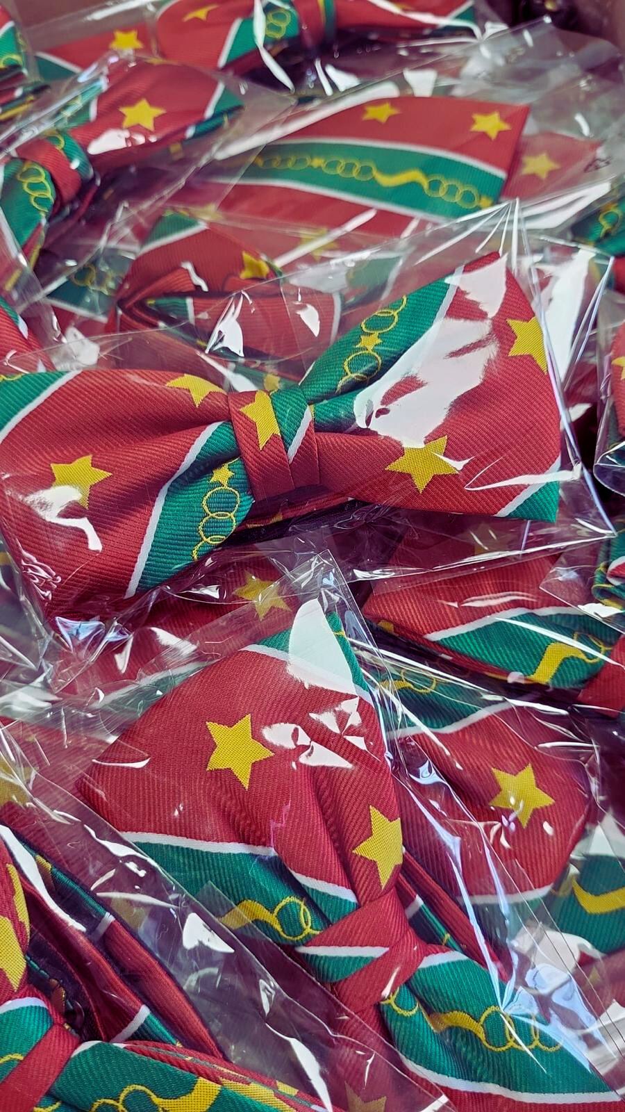 Surinaamse vlinder/strikdas, foto 2