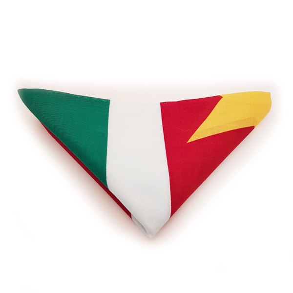 Surinaamse vlag zakdoek